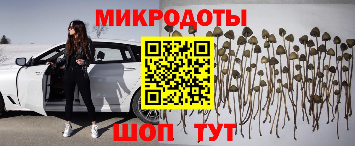 Галлюциногенные грибы мицелий  Галлюциногенные грибы Psilocybe  Вход с VPN  Новоалтайск 